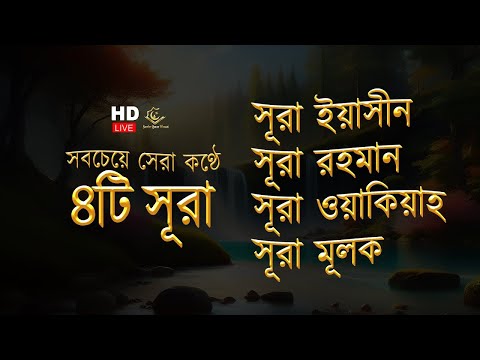 সব চেয়ে সেরা কুরআন তিলাওয়াত ২০২৪ - সূরা ইয়াসিন | সূরা আর রহমান | সূরা ওয়াকিয়া | সূরা মূলক