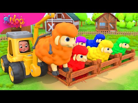 Baa Baa Black Sheep | Colorful Sheep Song | BluLoo Nursery Rhymes & Kids Songs