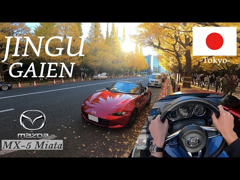 【POV】MAZDA MX-5 Miata JINGU-GAIEN Tokyo driving POV /驾车穿行於红叶繽纷的神宫外苑(東京)/神宮外苑でオープンカー紅葉ドライブ!!