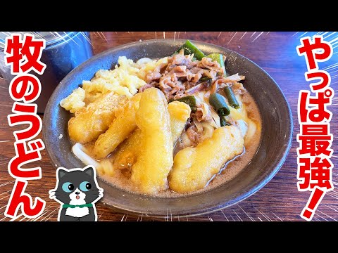 【やっぱり最強！】福岡うどん界の最上位格！堂々たる風格の牧のうどん！