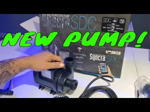 Syncra SDC pump by SICCE