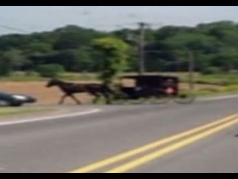 Horse & Buggy in Pennsylvania