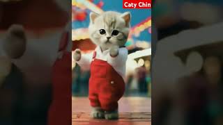 Tiger Kitty Adorable Dance #dancingcat #cat #catlovers #tabby #kitty #cutekitty #cutecats