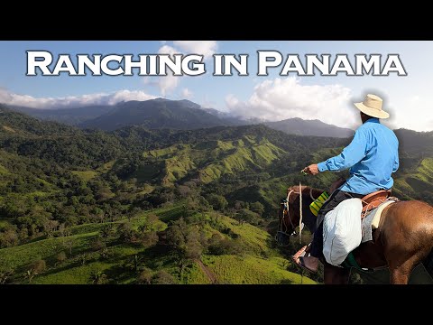 I spent a week on a Remote Ranch in Panama! Ep | 77