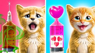 Pamper Your Purr: Exclusive Tips for Cat Owners 💖