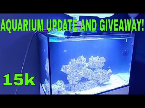 Aquarium UpDate And Giveaway