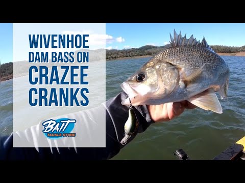 Bait Tackle Store: Wivenhoe Dam Bass on Crazee Cranks