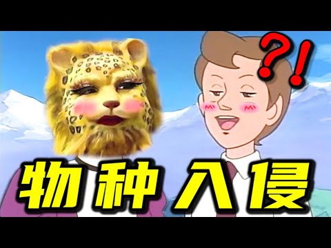 The money leopard species has invaded! ! ! 【Thirty-six silly smiles】