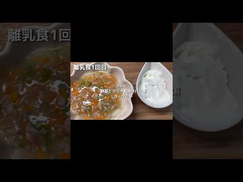 【生後8ヶ月】とある日の離乳食【野菜とカツオのパン粥】【ヨーグルト】#子育て #離乳食 #育児