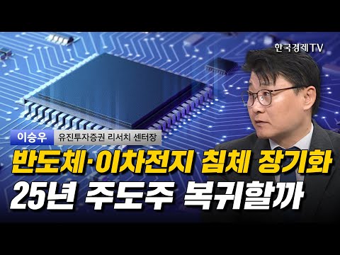 반도체·이차전지 침체 장기화 25년 주도주 복귀할까 I 이승우 I 코스피 I 코스닥 I 환율 I 삼성전자 I 반도체 I 美증시 I 트럼프 I SK하이닉스 I 조선 I 바이오 I