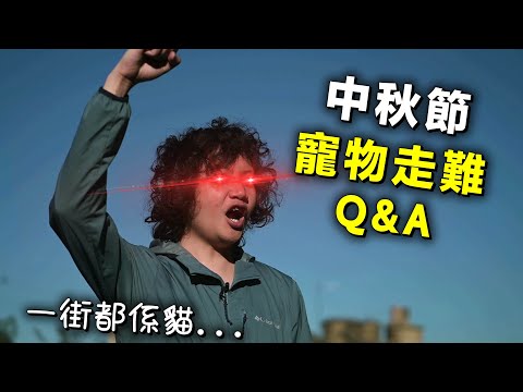 寵物走難 Q&A｜注意事項｜中秋節嘅你還好嗎？｜ 寵物移民｜20240917