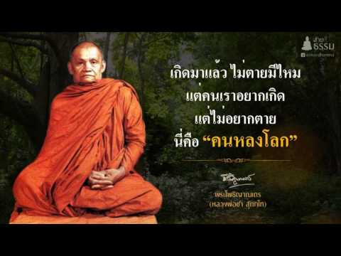 คติธรรม  "คนหลงโลก"  (หลวงปู่ชา สุภัทโท)