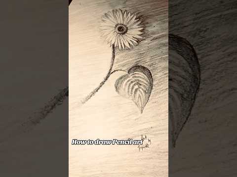 “Easy Pencil Sketch for Beginners | Step-by-Step Tutorial ✏️| by PriyaRK369👑🦋