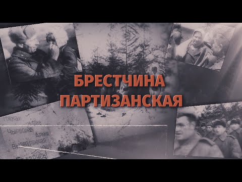 БРЕСТЧИНА ПАРТИЗАНСКАЯ. Партизанская бригада "Советская Белоруссия"