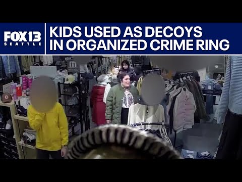 The Spotlight: Scammers using kids as accomplices in organized theft rings