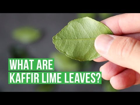 What Are Kaffir Lime Leaves? 🌿