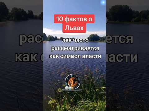 10 фактов о Львах♌