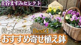 【土谷ますみセレクト】おすすめ寄せ植え鉢３選！