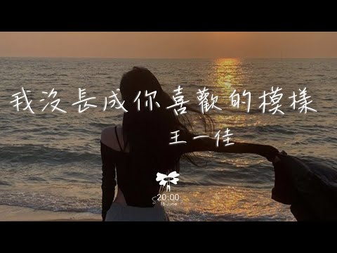 王一佳 - 我沒長成你喜歡的模樣「我沒有吃穿不愁 家庭背景 也沒有人人羨慕 的高學歷」【動態歌詞】♪