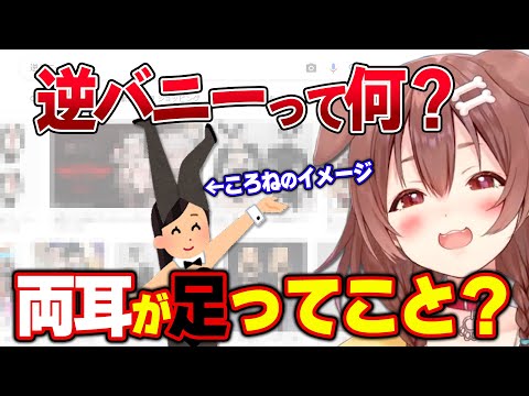 「知らないで良い」純粋な好奇心で逆バニーについて触ようとするころね【ホロライブ/戌神ころね/切り抜き】