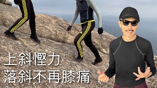 行山 (遠足) 技巧: 一個步法征服所有斜坡 Hiking: a unique gait to get over all slopes