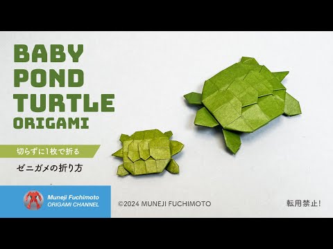 「折り紙」ゼニガメ（baby pond turtle origami）の折り方