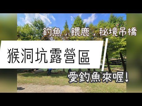 第34露｜猴洞坑｜釣魚烤魚、親子餵鹿、秘境吊橋、生態導覽，優質營區推薦