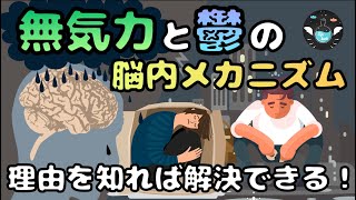 【無気力で鬱気味な方へ】気力を失った理由はなぜか（学習性無力感）