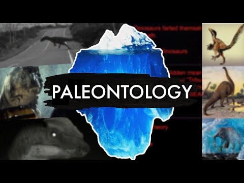 The Paleontology Iceberg Explained