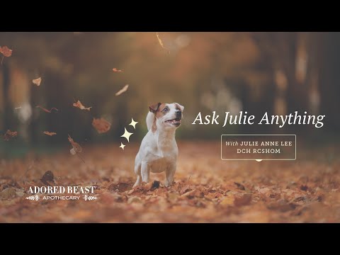 Ask Julie Anything - November Q & A Session