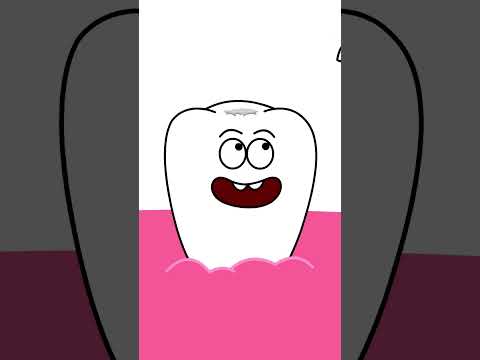 Brush me - Magic Blue Light - Brush your teeth - Kids Songs - Cartoon - Healthy Habits - Hooray