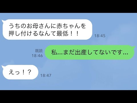 【LINE】義姉「生後3ヶ月赤ちゃんをお母さんに預けて何考えてるの！」私「え、出産してないけど…？」→この後、衝撃の展開へ…