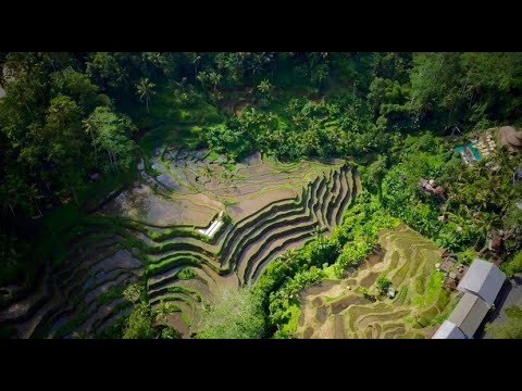 UNE SEMAINE À BALI !!!