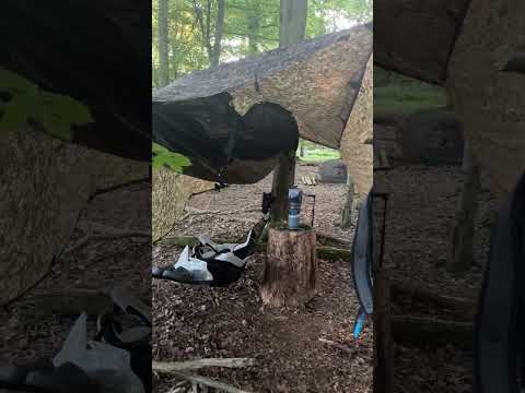 Forage And Cook With The DD Wild Camp Hammock Set Up !!