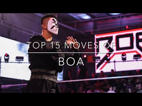 Top 15 Moves of Boa (2023)