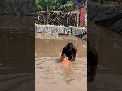 जल्दी आना बप्पा Ganpati Bappa #ganeshchaturthi #ganpativisarjan #ganpativisarjan2023 #ganpatibappa