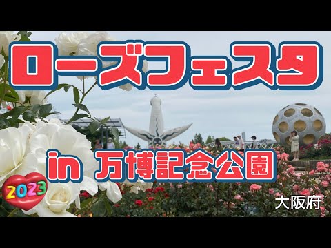 【5分バラ園散歩】万博のローズフェスタ 平和のバラ園 Rose Festival in Expo 70 commemorative park Banpaku