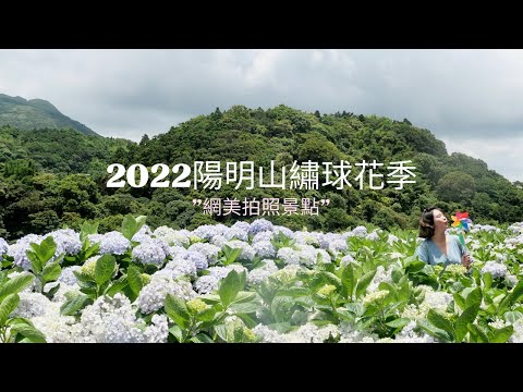 2022#陽明山繡球花季 #網美拍照景點 ｜#大梯田生態園區 ｜I’m Tammy 媽，泰咪這一家。