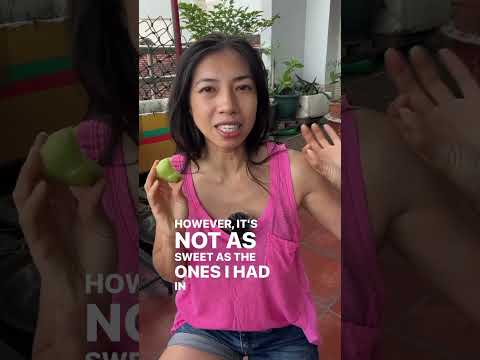 Expensive but worth it? (Jambu wax apple review)