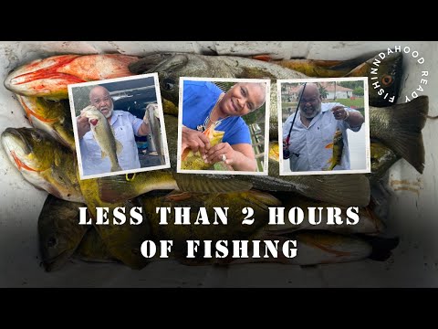 WE CAUGHT SO MANY IN LESS THAN 2 HOURS #fypyoutube #fishing #fish #explorepage #bassfishing