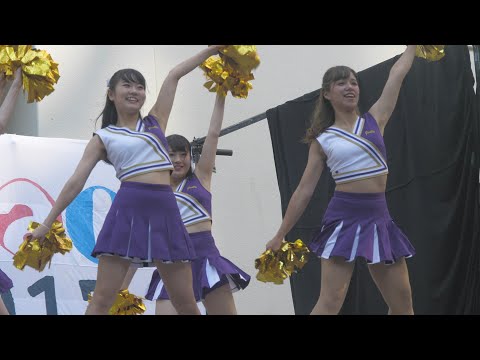 ソフィア祭2017③ Yeah 3x 上智大学インカレチアダンスサークルJESTY