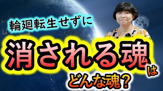 【スピリチュアルカウンセラーまゆみさん】娘の死に対して自分ができること／消される魂／地球人の魂の転生先・・・他