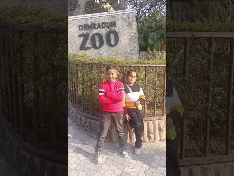 zoo