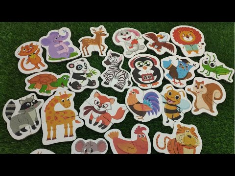 abc animals puzzle, Animal Alphabet Puzzle, learn animals alphabet, abcde, ABC Animals for Kids