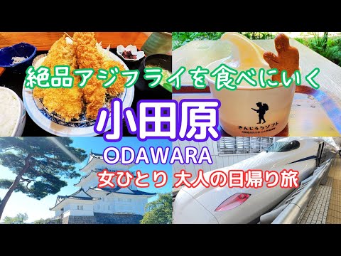 【Tokyo Walk & Gourmet】day trip/Odawara/30 minutes from Tokyo Station by Shinkansen/Odawara Castle