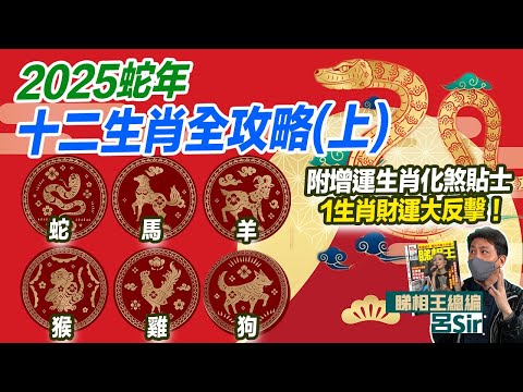 2025十二生肖全攻略(上)附繁簡字幕｜搶先睇蛇 馬 羊 猴 雞 狗 豬 6大生肖運程！1個生肖財運大反擊！屬狗紅鸞到  蛇年預測 #生肖運勢2025 攝太歲 犯太歲【囍趣睇相王EP107】風水佈局