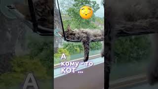 С Понедельником ! 🐱 Лёгкого денёчка!✌️