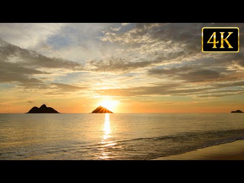 Forever Sunrise: Calm Ocean Sounds for Serenity and Stress Relief (4K UHD)