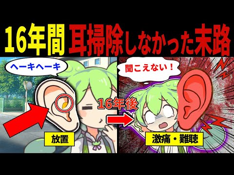 【実話】16年間耳掃除をしなかった男の末路【ずんだもん&ゆっくり解説】