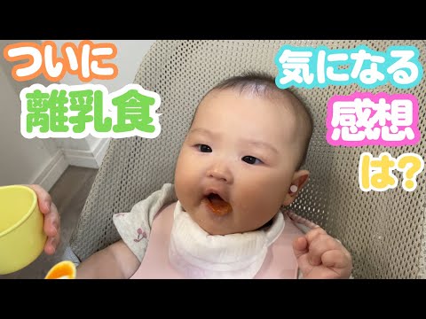 お口モグモグ！赤ちゃんの食リポ！？【離乳食/寝つき/寝起き/足】